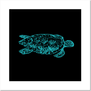 Loggerhead sea turtle Posters and Art